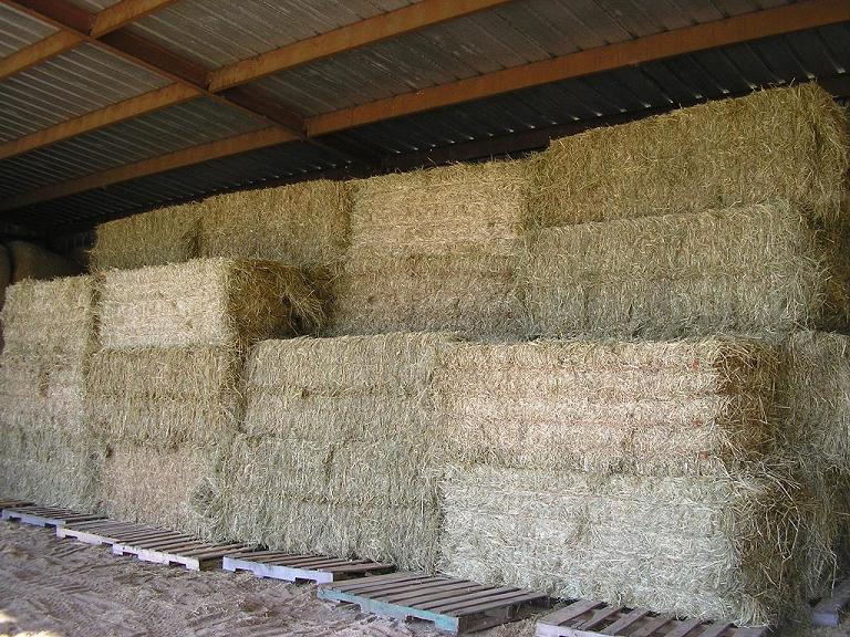 HAY SALES